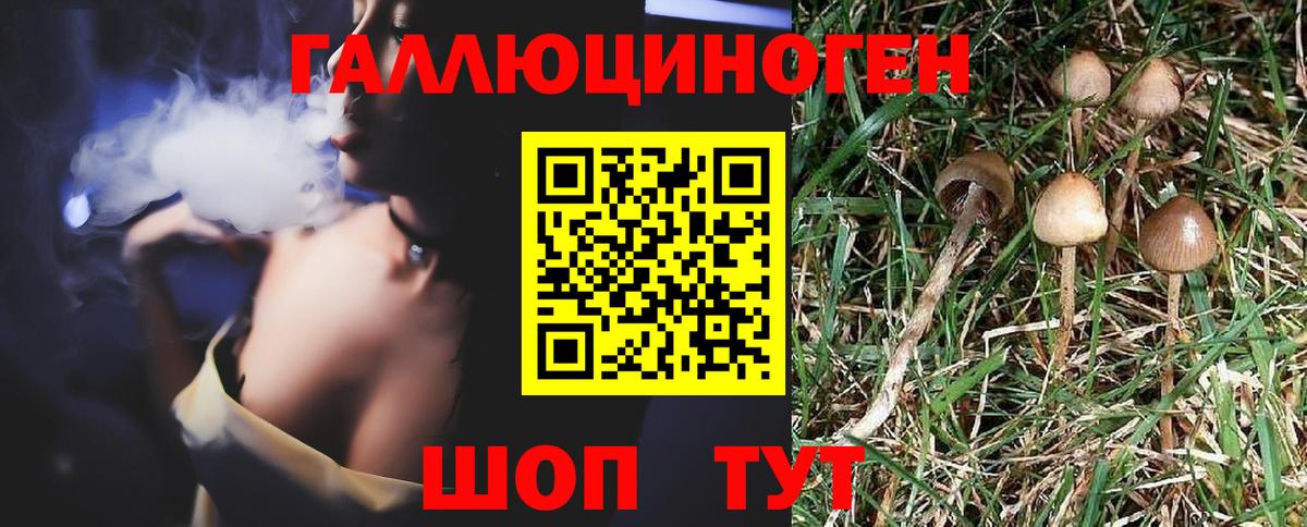 Псилоцибиновые грибы мицелий Павлово