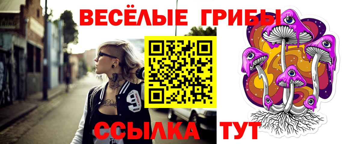 магазин  наркотиков  Галлюциногенные грибы мухоморы  Псилоцибиновые грибы ЛСД  Вход с VPN  Павлово 